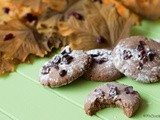 Speculaaskoekjes met cranberry’s