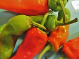 Melrose Peppers, Another Love Story