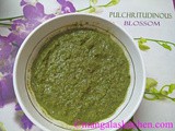 Healthy Pudina Thogayal | Mint leaves Chutney | Green Chutney