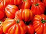 What's in season: august