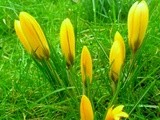 What's in season: march