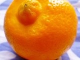 When is a lemon a cartoon villain? when it's citron beldi