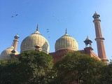 The Culinary Magic of Old Delhi