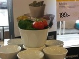Till tacofantasten istället för en blomma