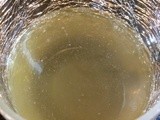 Turkey Broth