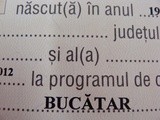 Cum sa (nu) devii bucatar in Romania