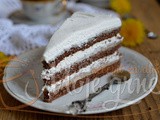 Torta sa plazmom i gotovim korama