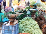 Sante, a Small Town Farmer's Market ~ Photo Tour | Part 3 ~ The People