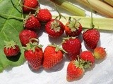 Roasted Strawberry Rhubarb Ice Cream