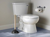 Sterling Toilet Reviews