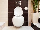 Swiss Madison Toilet Reviews