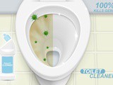 The 7 Best Toilet Cleaner uk