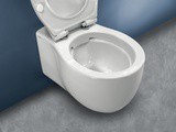 The Best Rimless Toilets uk
