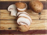 Mushrooms 101 – Facts and Trivia