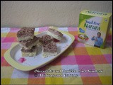 Chocolate and Vanilla 2-in-1 Sondesh / Sugar Free Dessert Challenge / Dessert with Sugarfree Natura