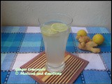 Ginger Lemon Soda/Sparkling Ginger Lemonade/Ginger Lemon Fizz