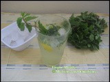 Virgin Mojito