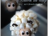 Marshmallow sheep ~ 棉花小羊