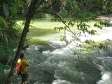 Reserved Forest Lesong ~ Sg Kacah Putih