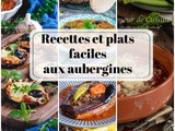 Recettes et plats faciles aux aubergines