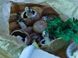 Baked mushrooms stuffed with herbs, feta and parmesan