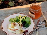 Goat’s cheese and caramelized apple salad.. and ochre abundance