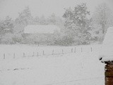 Velouté de butternut..and footprints in the snow