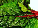 Red Swiss chard bhaji