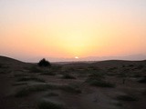 Experience Unseen Trails of Dubai – Dubai Desert Conservation Reserve Safari
