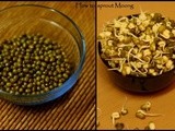How to sprout Moong