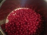 #383 Spiced Redcurrant Jelly