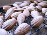 Violet Madeleines