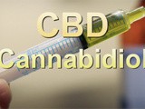 Cbd: On a real market high