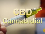 Cbd: On a real market high