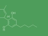 What is cbd