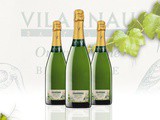 Cava Vilarnau Brut van Gonzales Byass