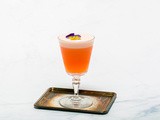 In the Mix Aperol Gin Sour