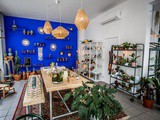 The Plant Corner …. nieuw in Antwerpen