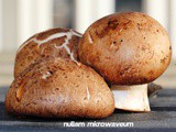 Toast Champignon