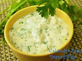 Cilantro Lime Yogurt Dip