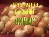~Itty Bitty Bloomin' Onions