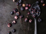 Homegrown Organic Farms Freeze-Dried Fruit