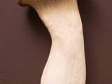 How To Cook King Oyster Mushrooms: Best Methods & Recipes