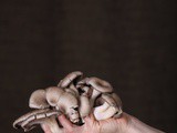 How To Cook Oyster Mushrooms (Methods, Tips & Recipes)