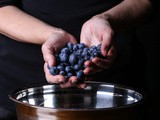 Mixed Berry Salad with Sweet Lime Dressing