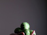 Superfoods 24/7 | Review, Recipe + Giveaway