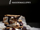 Vegan s'mores