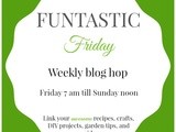 Funtastic Friday #1