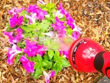Preparing a Spring Garden with Gardenite Premium Garden Care Products + Giveaway