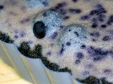 Blueberry Ricotta Cheesecake